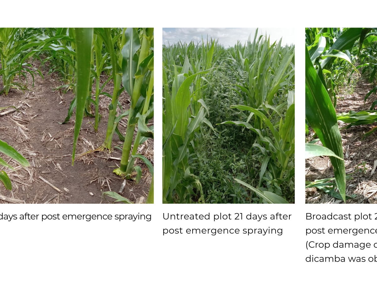 Greeneye precision spraying system reduces non-residual herbicide use by 87% while delivering same efficacy as broadcast spraying, UNL trial finds