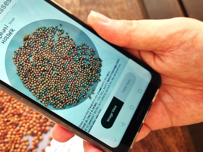 AI Assessment closes in on grain quality
